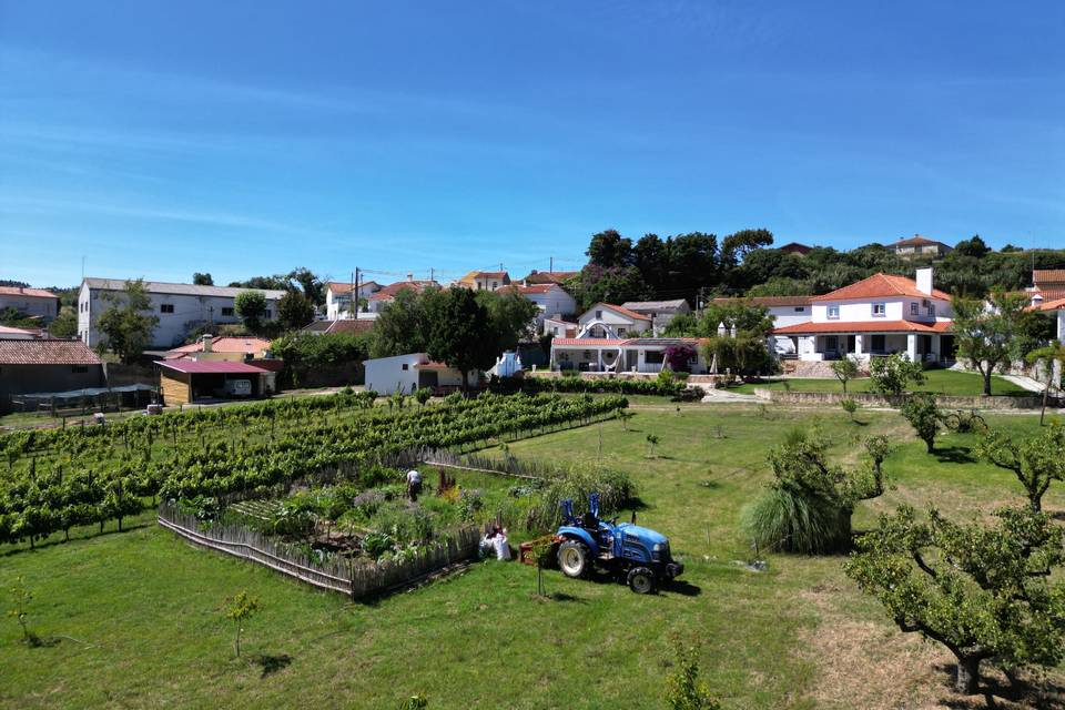 Área total de quase 4 hectares