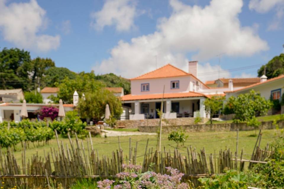 Horta