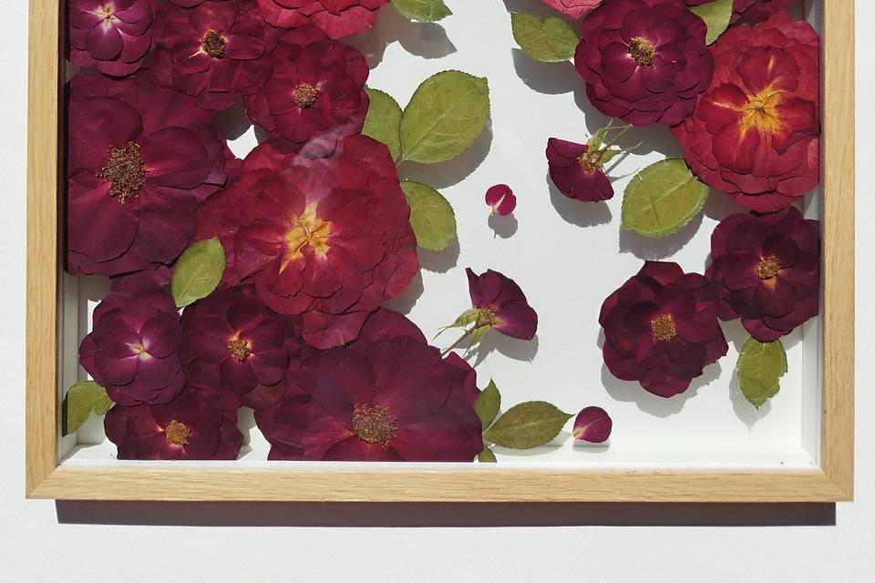Vidro | 50x40cm