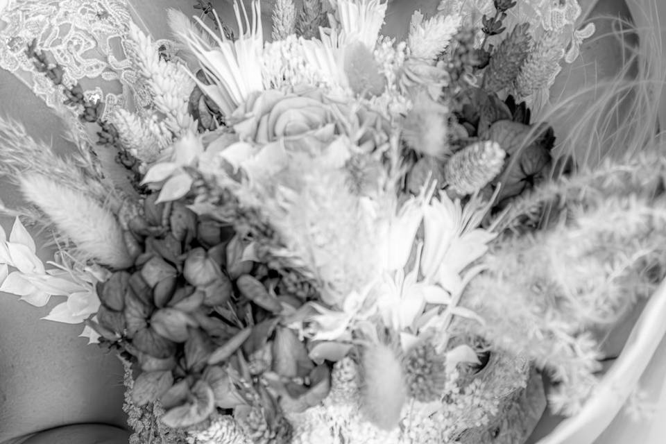 Anacardosofotografia