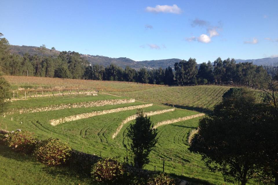 Vista da Quinta de Luou