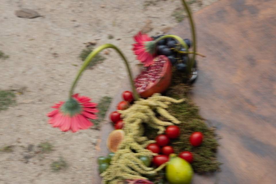 Catia-pedro