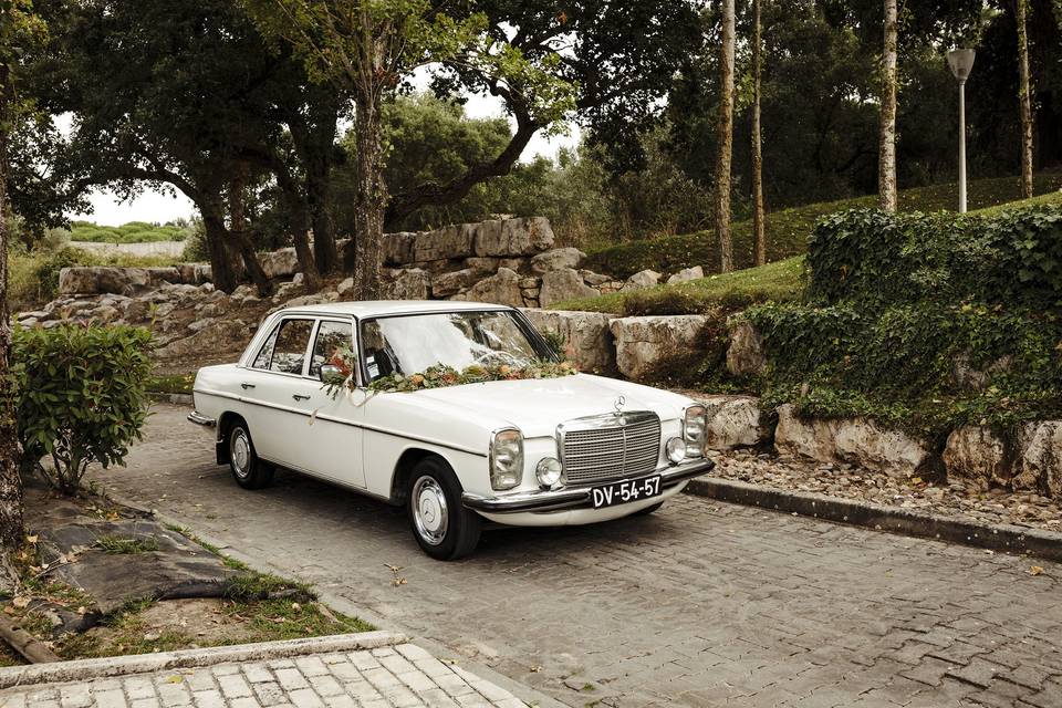 Decoração carro noivos