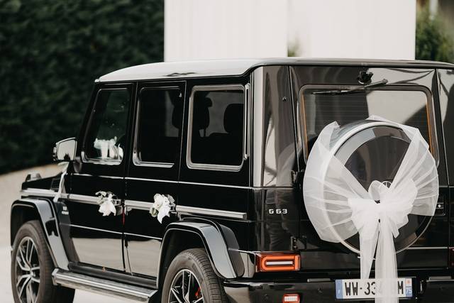 Imponha a sua elegancia