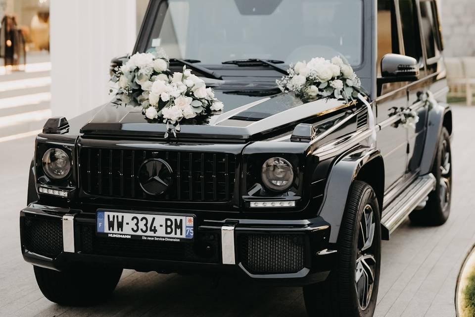 Elegante