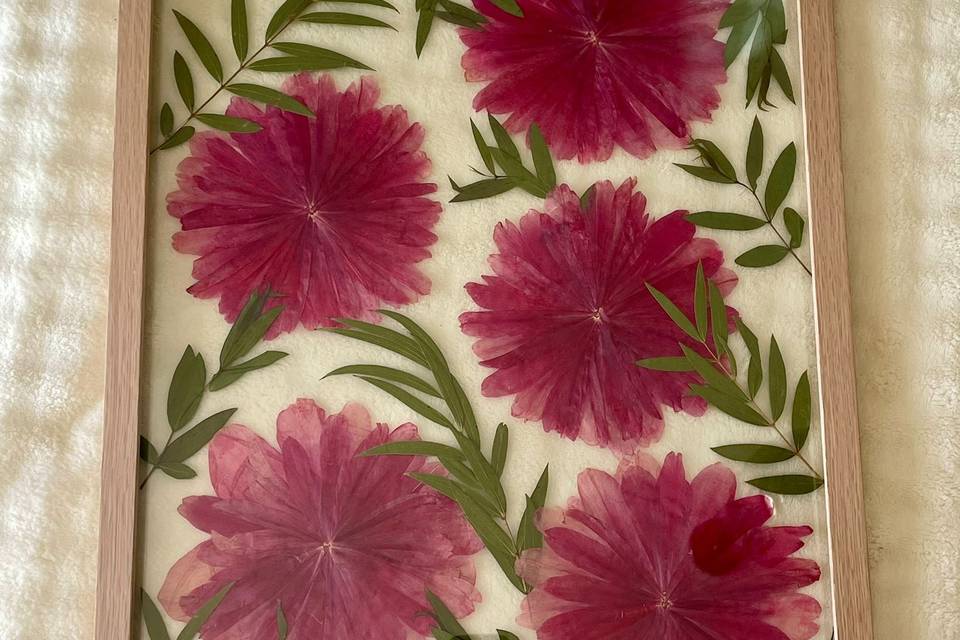 Preservação com Peônias