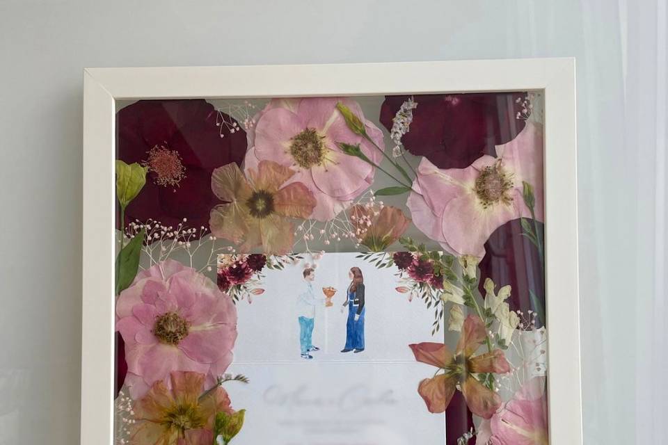 Preservação da Ana