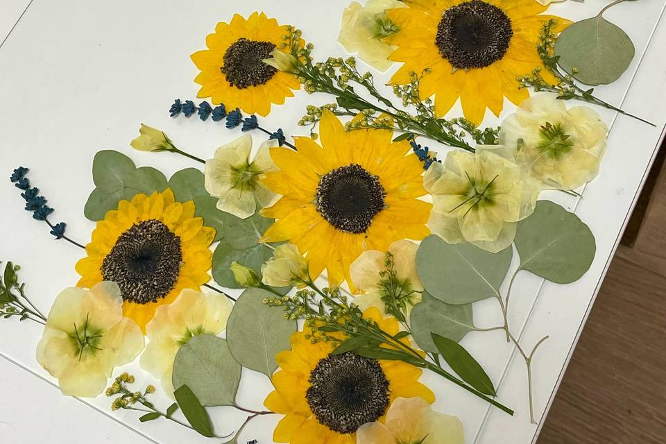 Quadro preservação de Girassol