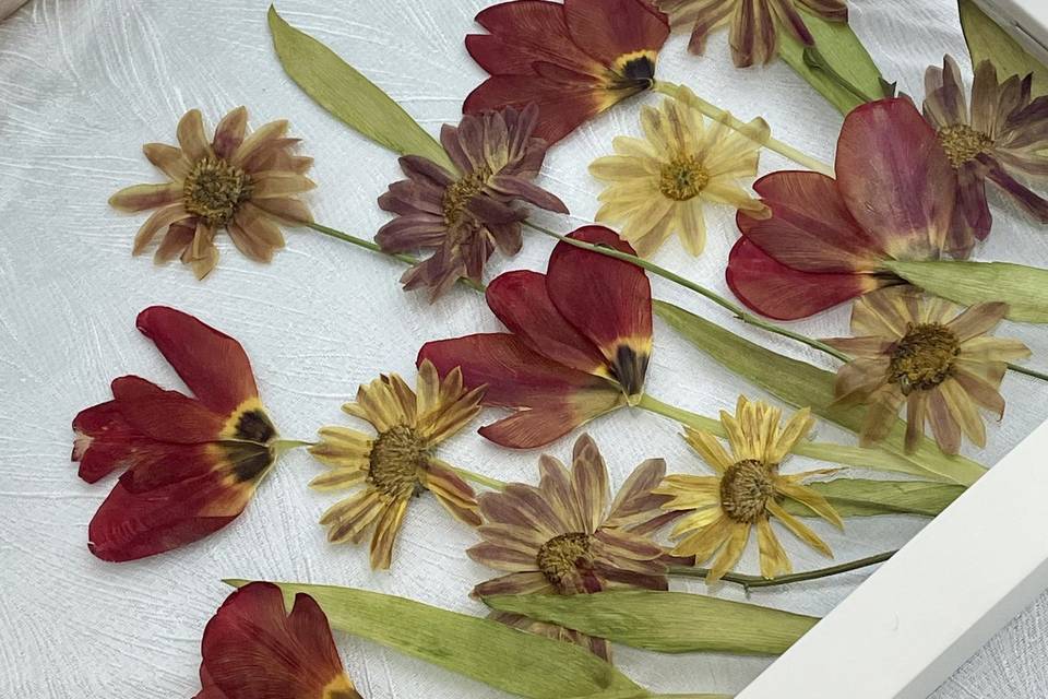 Tulipas