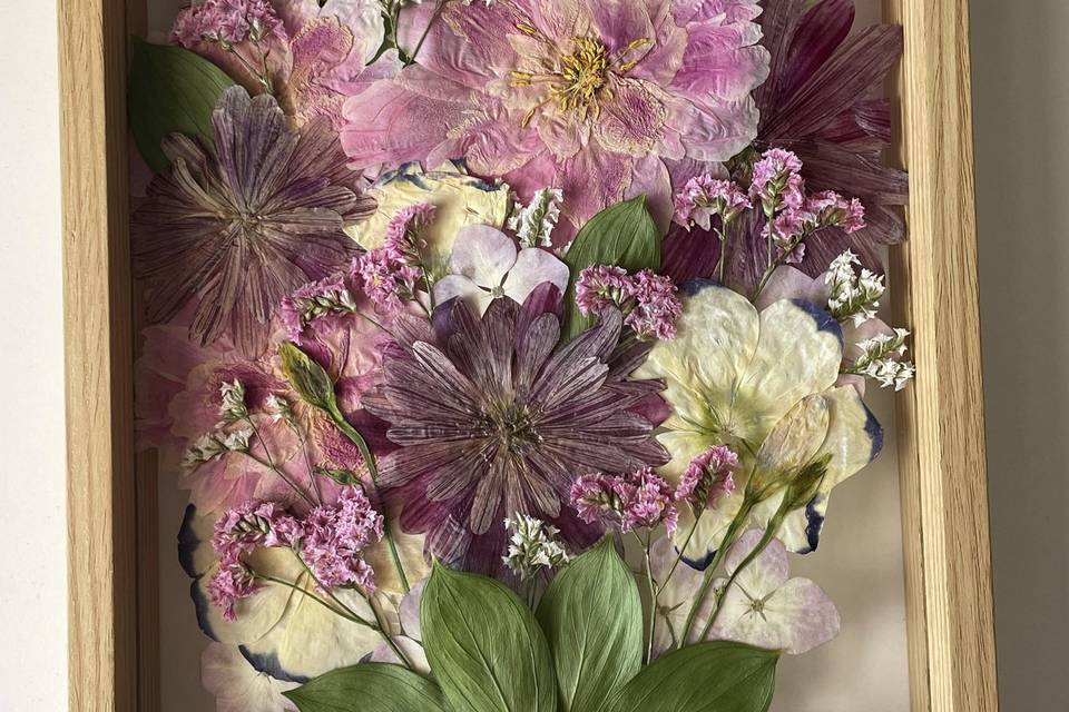 Margaridas e Peonia Prensadas