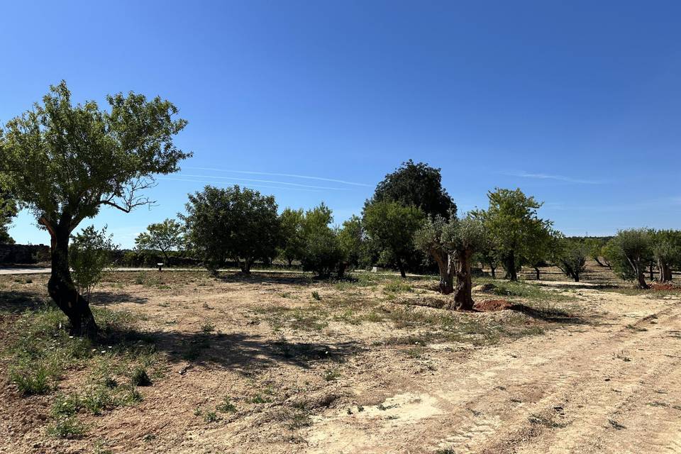 Zona exterior