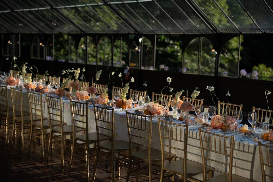 Vellure Weddings