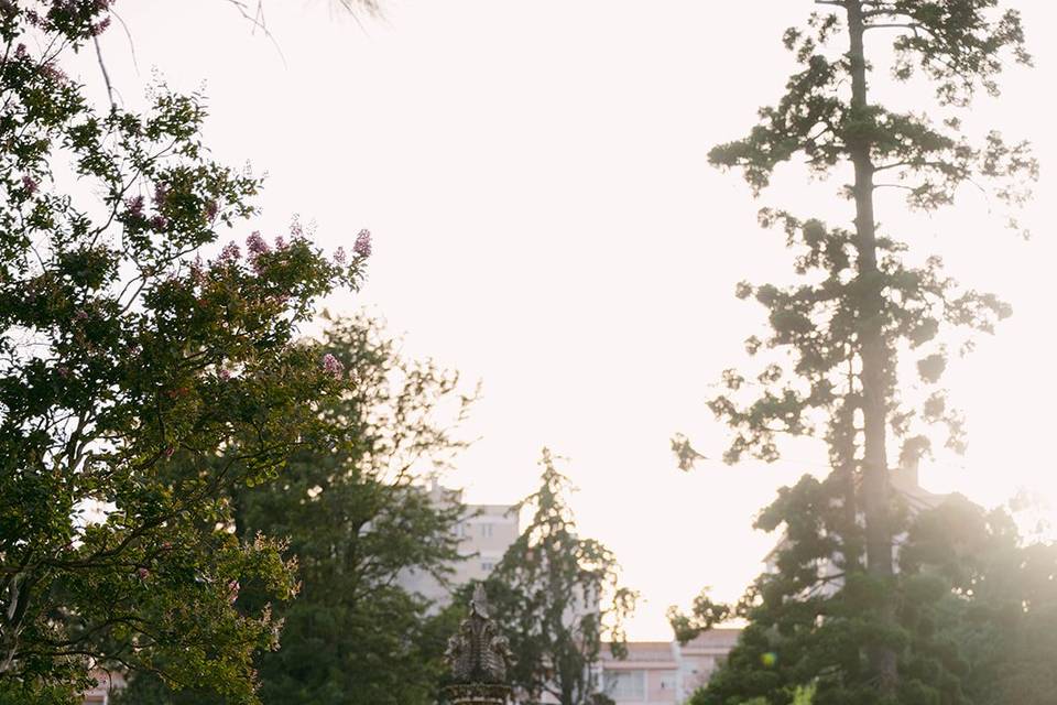 Vellure Weddings