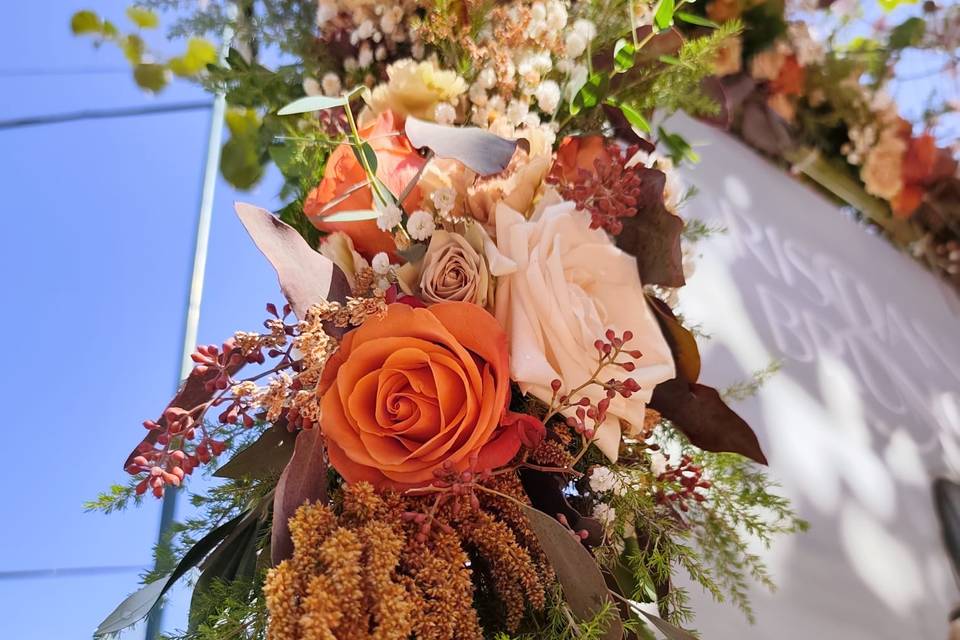 Paleta de Cores Terracota