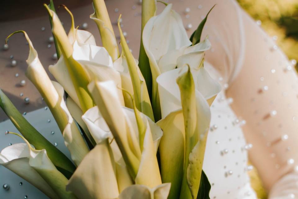 WEDDING PAOLA E JORMA
