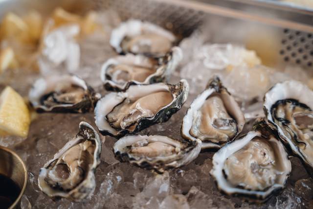 BeOyster