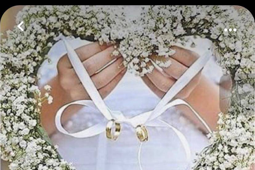 As Minhas Pétalas