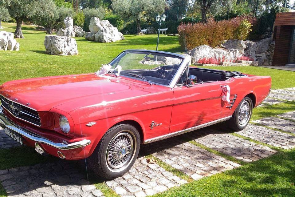 Ford Mustang V8 1965