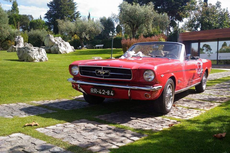 Ford Mustang V8 1965