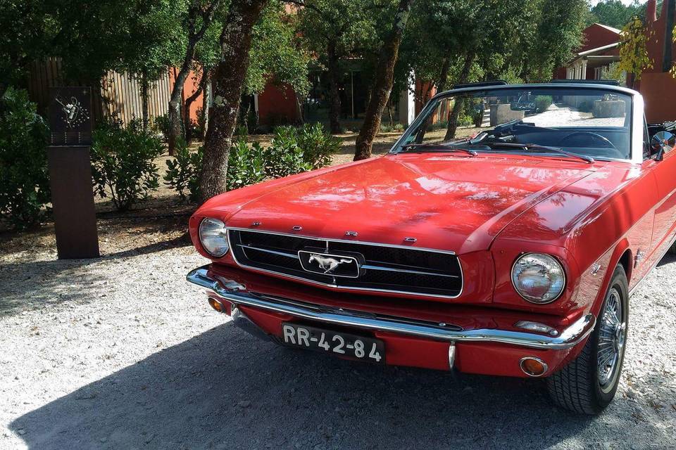 Ford Mustang V8 1965