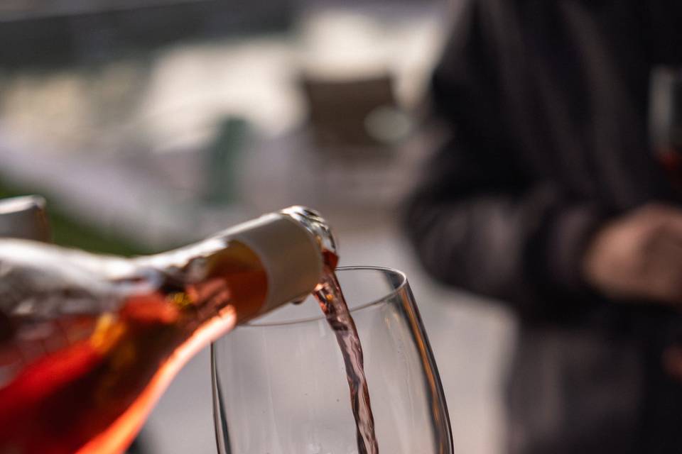 Provas de Vinho
