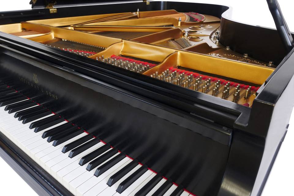 Steinway B-211