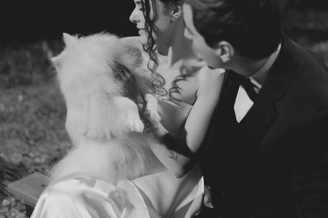Casamento