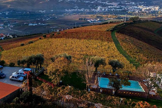 The Bela Estate