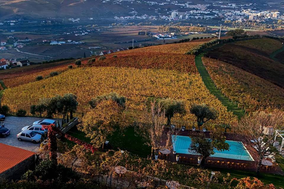 The Bela Estate